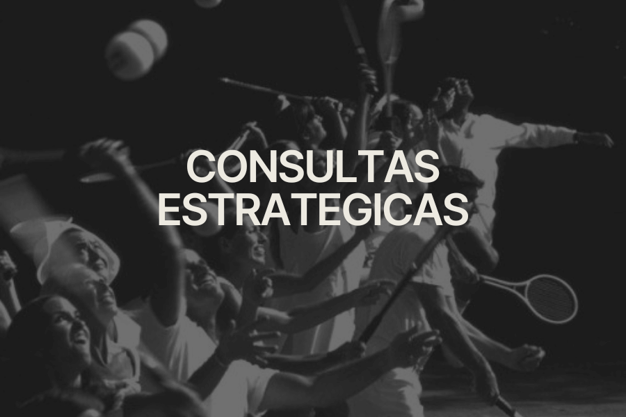 Consultas Estrategicas